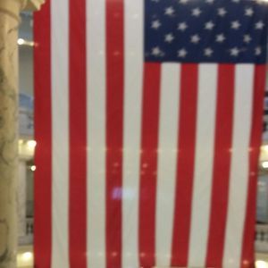 Meet your Posher, Elaine